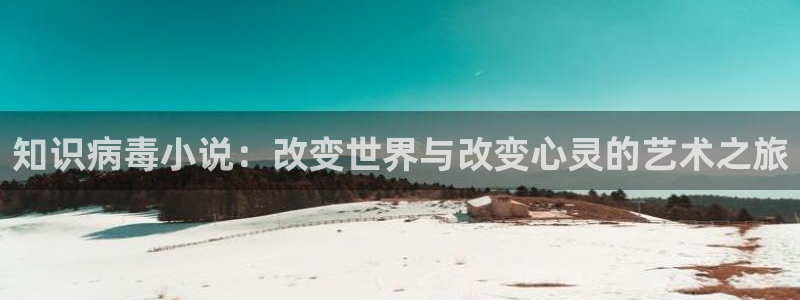 奇书网官网txt