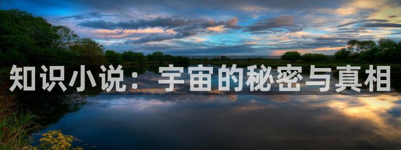 郁金香小姐全文txt下载奇书网
