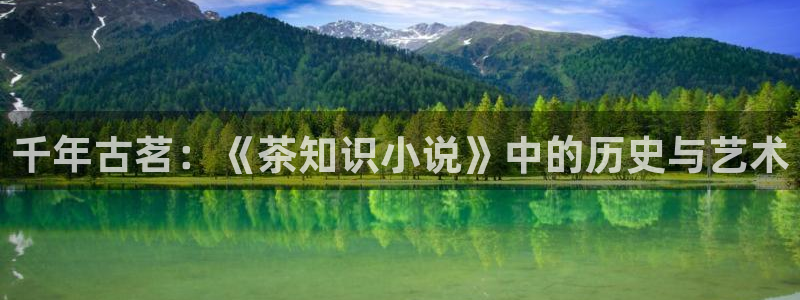 小说fog电竞txt下载奇书网