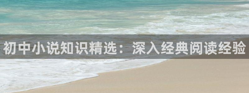 全职高手txt奇书网